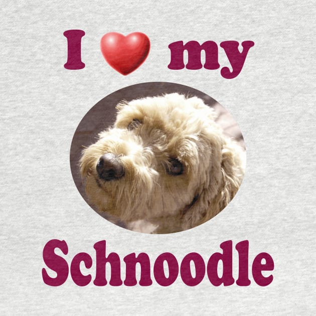 I Love My Schnoodle by Naves